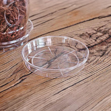 Carica l'immagine nel visualizzatore di Gallery, Sottovasi Trasparenti per Piante, Set da 5 in Plastica Resistente Ø 12 cm, Rotondi da Interno ed Esterno