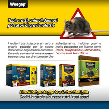 Carica l'immagine nel visualizzatore di Gallery, Kit Veleno per Topi e Ratti + 2 Trappole Porta Esche Topicida Professionale, Buste di Pasta Fresca BlockRat 150 g Novità