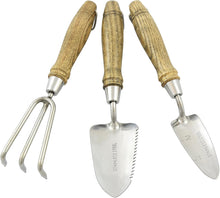 Carica l'immagine nel visualizzatore di Gallery, Spear &amp; Jackson POTTING3PS Set di attrezzi per invasatura in acciaio inossidabile da 3 pezzi