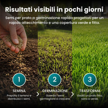 Carica l'immagine nel visualizzatore di Gallery, LERAVA TURBO Semi Loietto Perenne (30 m²) - Semi prato a Crescita Rapida - Fine Tessitura - Sementi per Prato Resistente