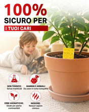 Carica l'immagine nel visualizzatore di Gallery, PIC Trappola Moscerini - 10x Trappola per Moscerini in Casa, acchiappa cimici efficace contro i moscerini piante, Carta 