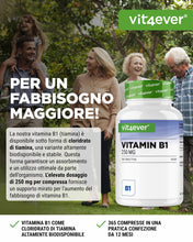 Carica l'immagine nel visualizzatore di Gallery, vit4ever Vitamina B1 (Tiamina) - 250 mg - 365 Compresse