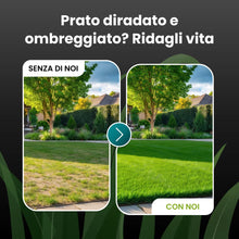Carica l'immagine nel visualizzatore di Gallery, LERAVA TURBO Semi Loietto Perenne (30 m²) - Semi prato a Crescita Rapida - Fine Tessitura - Sementi per Prato Resistente