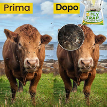 Carica l'immagine nel visualizzatore di Gallery, 3X Trappole per mosche da esterno,3X attrattivo,Trappola mosches esternos