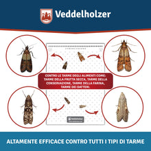 Carica l'immagine nel visualizzatore di Gallery, Veddelholzer 10 trappole per tarme da cibo con feromone, combatte efficacemente le tarme del cibo, monitoraggio delle ta