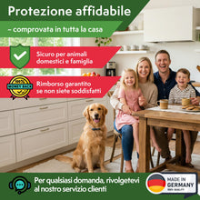 Carica l'immagine nel visualizzatore di Gallery, PATTLER Trappole Antitarme Alimentari del Cibo – Set da 12. Trappole Anti Tarme Adesive con Feromoni per Farfalline del 