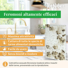 Carica l'immagine nel visualizzatore di Gallery, Hey Nature Trappole Antitarme Alimentari, 12 Pezzi, Senza Insetticidi
