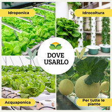 Carica l'immagine nel visualizzatore di Gallery, Albagarden - Nutrimento Per Coltivazione Idroponica E Idrocoltura - Formula Potenziata, Concime Ideale Per Serra Indoor,