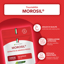 Carica l'immagine nel visualizzatore di Gallery, Morosil® 400 mg | 30 Capsule Vegane | Nutrimea