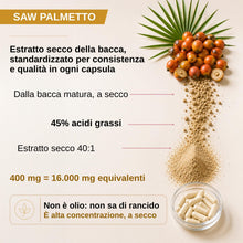 Carica l'immagine nel visualizzatore di Gallery, Serenoa Repens Saw Palmetto Capelli 16.000 mg 40:1