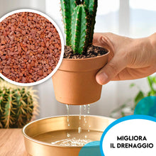 Carica l'immagine nel visualizzatore di Gallery, ZOMA VULC Lapillo vulcanico per piante 3/5 mm, migliora drenaggio e composizione del substrato, Ideale per bonsai, piant