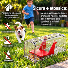 Carica l'immagine nel visualizzatore di Gallery, Roshield – 2 x Trappole umane per la cattura di topi (non adatte ai ratti), per uso interno ed esterno. Riutilizzabili, 