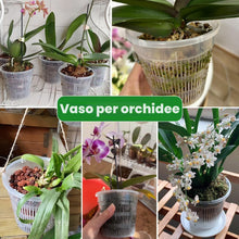 Carica l'immagine nel visualizzatore di Gallery, 8 vasi trasparenti per orchidee, 11/14/16/19 cm, in plastica
