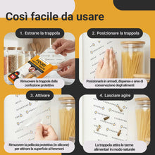 Carica l'immagine nel visualizzatore di Gallery, Proxinova Antitarme Alimentari con 10 Trappole Adesive per Farfalline Dispensa -Trappole Feromoni Farfalline per Monitor