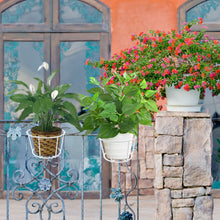 Carica l'immagine nel visualizzatore di Gallery, 3 supporti per vasi da fiori, rotondi, per balconi, in metallo, per ringhiere rotonde, per fiori, per casa, balcone, gia