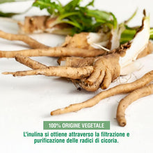 Carica l'immagine nel visualizzatore di Gallery, VITATIV Inulina da Cicoria in Polvere Pura 500g | Fibra Vegetale Prebiotica da Radici di Cicoria | ALTA QUALITA