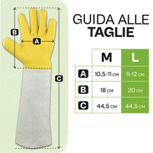 Carica l'immagine nel visualizzatore di Gallery, Praknu Guanti da Giardinaggio Antispine Taglia L – per Raccolta Castagne