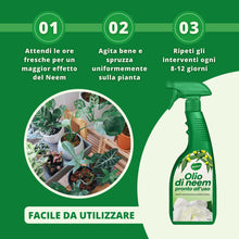 Carica l'immagine nel visualizzatore di Gallery, Gardemia Olio di Neem Spray per Piante 750ml Pronto Uso Azione Naturale contro varie Avversità Giardino Casa Multiuso Es