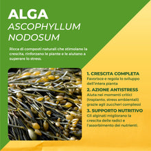 Carica l'immagine nel visualizzatore di Gallery, Solabiol Concime Liquido Biologico per Agrumi e Piante Mediterranee con Tecnologia Natural Booster che Stimola lo Svilup