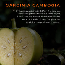 Carica l'immagine nel visualizzatore di Gallery, METABOLISM Garcinia Cambogia, Glucomannano e Carnitina con estratti vegetali | Integratore Alimentare Metabolism 60 Caps