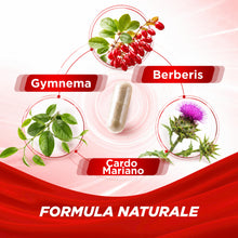 Carica l'immagine nel visualizzatore di Gallery, Berberina 1000mg Pura HCL - 180 Capsule Complex con Gymnema e Silimarina