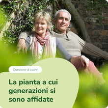 Carica l'immagine nel visualizzatore di Gallery, BIANCOSPINO BIO Vegavero® | 700 mg | con 1,5% di Flavonoidi | Senza Additivi | Integratore per Sistema Cardiovascolare (