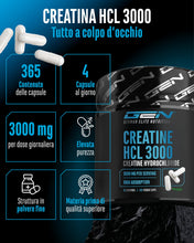 Carica l'immagine nel visualizzatore di Gallery, GEN GERMAN ELITE NUTRITION Creatine HCL - 365 Capsule
