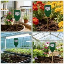 Carica l'immagine nel visualizzatore di Gallery, GAOUTO Set di 4 umidificatori per piante, igrometro 3 in 1, per piante con PH/temperatura/luce, adatto per giardinaggio,