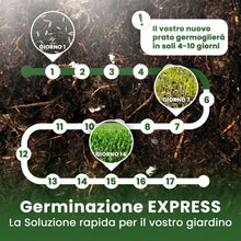 Carica l'immagine nel visualizzatore di Gallery, LERAVA® EXPRESS semi prato crescita rapida (30m²) - Semina resistente al calpestio - Sementi per prato soleggiato e mezz