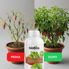 Carica l'immagine nel visualizzatore di Gallery, BIOTICA Concime Liquido per Peperoncino e Piante Aromatiche 1L