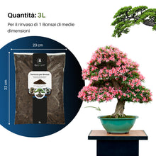 Carica l'immagine nel visualizzatore di Gallery, GebEarth® - Terriccio Specifico per Bonsai | Substrato Professionale per Radici più Forti e Aerazione Ottimale 【3L】