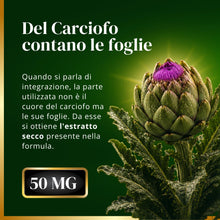 Carica l'immagine nel visualizzatore di Gallery, Cardo Mariano 550 mg 80% Silimarina – 180 Capsule con Tarassaco e Carciofo