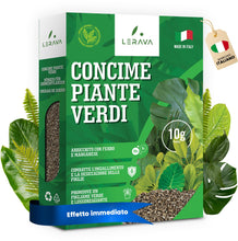 Carica l'immagine nel visualizzatore di Gallery, LERAVA Fertilizzante piante verdi al coperto (800 g) - Fertilizzante biologico con ferro e manganese per fogliame vigoro