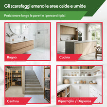 Carica l'immagine nel visualizzatore di Gallery, Pattler Trappole Scarafaggi da Interno – 12 Pezzi. Trappole per Blatte Senza Veleno con Colla ad Alta Tenuta per Elimina
