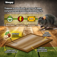 Carica l'immagine nel visualizzatore di Gallery, Trappola Per Topi Grandi e Ratti, 4 Tavolette di Colla Topicida Professionale Ultra Adesive Senza Veleno, Cattura Insett