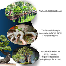 Carica l'immagine nel visualizzatore di Gallery, GebEarth® - Terriccio Specifico per Bonsai | Substrato Professionale per Radici più Forti e Aerazione Ottimale 【3L】