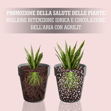 Carica l'immagine nel visualizzatore di Gallery, LERAVA® Perlite per Piante in Vaso (3L) - Drenaggio Ottimale e Radici Sane | Agriperlite Espansa Naturale - Substrato Le