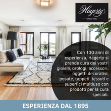 Carica l'immagine nel visualizzatore di Gallery, Hagerty Dry Shampoo secco Detergente in polvere per tappeti delicati moquette tappezzerie