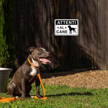 Carica l'immagine nel visualizzatore di Gallery, TAKULA Cartello Attenti al Cane 22x15cm – Alluminio per Cancelli e Giardini