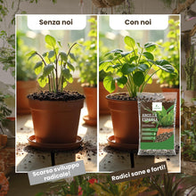 Carica l'immagine nel visualizzatore di Gallery, LERAVA® Argilla Espansa per Piante in Vaso (1L) - Drenante Leggero e Resistente - Argilla per Piante a PH Neutro - Subst