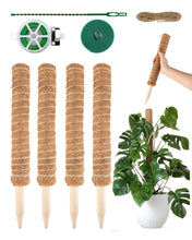 Carica l'immagine nel visualizzatore di Gallery, 4 Pezzi Asta Muschio Monstera 40 cm - Supporto per Piante in Fibra di Cocco per Monstera, Piante Espandibili e Rampicant