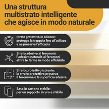 Carica l'immagine nel visualizzatore di Gallery, Proxinova Antitarme Alimentari con 10 Trappole Adesive per Farfalline Dispensa -Trappole Feromoni Farfalline per Monitor