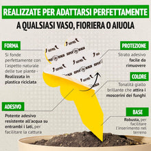 Carica l'immagine nel visualizzatore di Gallery, Super Ninja Trappole Moscerini Piante da Interno, 30 Pezzi