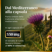 Carica l'immagine nel visualizzatore di Gallery, Cardo Mariano 550 mg 80% Silimarina – 180 Capsule con Tarassaco e Carciofo