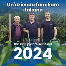 Carica l'immagine nel visualizzatore di Gallery, LERAVA Rame e Zolfo Spray (700 ml) - Fungicida rameico naturale per piante contro Oidio, Peronospora e macchie brune - C