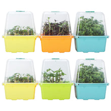 Carica l'immagine nel visualizzatore di Gallery, Vassoi per Microverde LUVCSOY con Coperchio, Kit di Germinazione con Cupola per Umidità e Fori da 3 mm, Senza BPA, per S