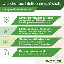 Carica l'immagine nel visualizzatore di Gallery, PATTLER Trappole Antitarme Alimentari del Cibo – Set da 12. Trappole Anti Tarme Adesive con Feromoni per Farfalline del 