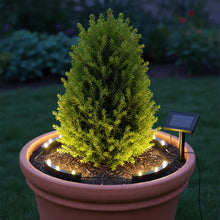 Carica l'immagine nel visualizzatore di Gallery, Spetebo Set di 4 faretti a energia solare a LED per piante in vaso e aiuole – faretto a energia solare per piante e pian