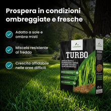 Carica l'immagine nel visualizzatore di Gallery, LERAVA TURBO Semi Loietto Perenne (30 m²) - Semi prato a Crescita Rapida - Fine Tessitura - Sementi per Prato Resistente