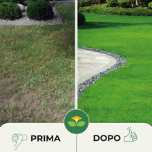 Carica l'immagine nel visualizzatore di Gallery, Albagarden - Semi Prato Resistente Al Calpestio - 40m² - Sementi Erba per Tappeti Erbosi per Aree Gioco - Super Calpesta